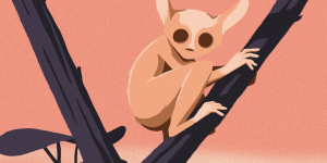 solicitud de empalme y suministro cge